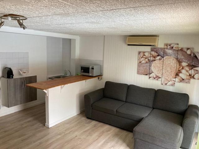 L'Appartement Du Micocoulier Салон-де-Прованс Экстерьер фото